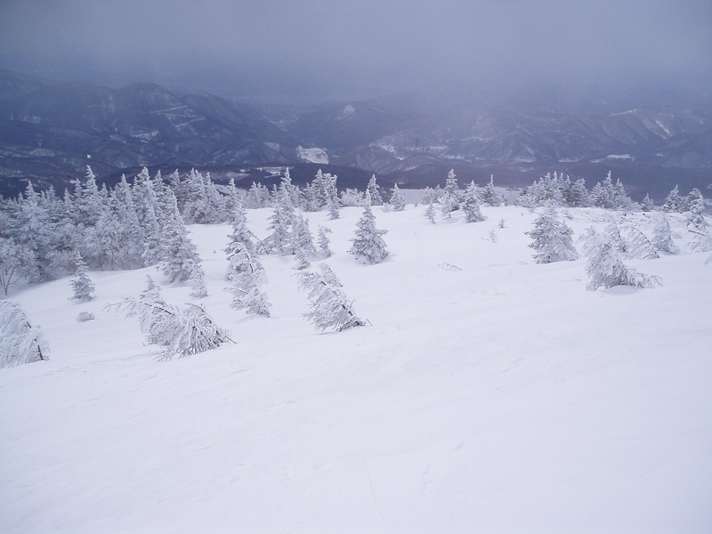 12:20 2125m<br />