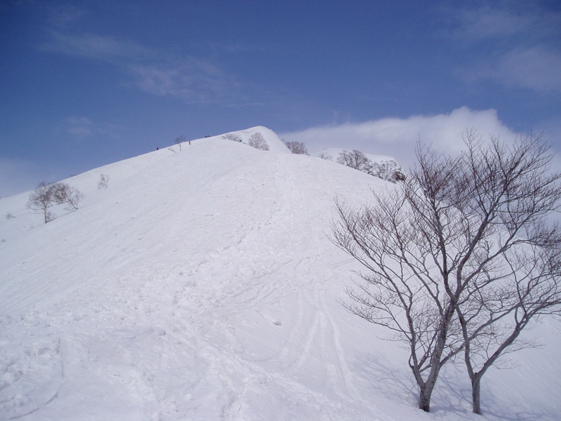 11:21 1472m<br />