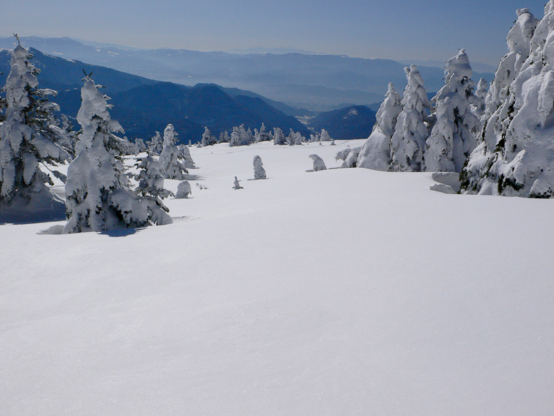12:15 2287m<br />
