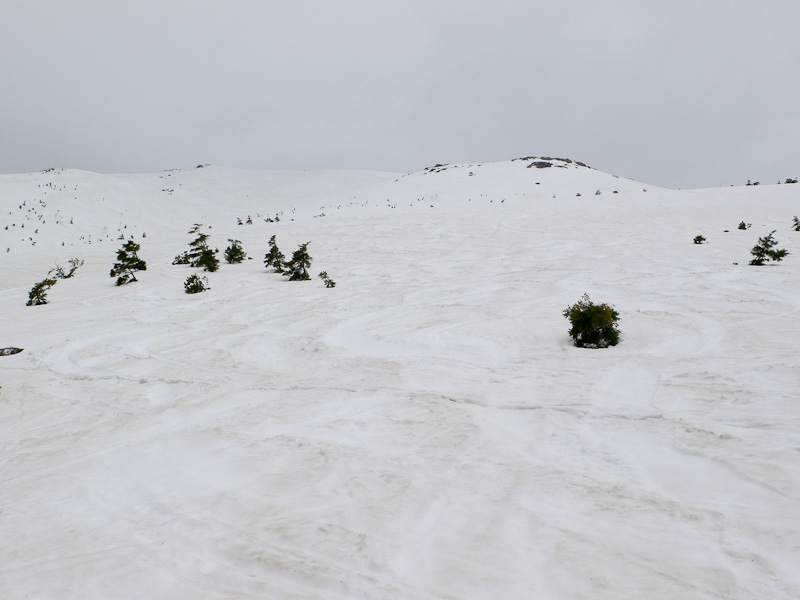 09:33 1860m<br />