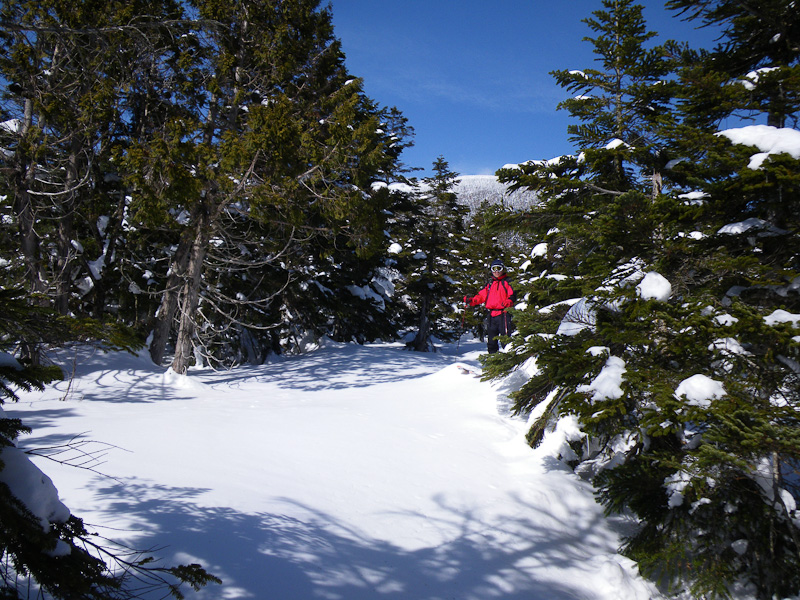 13:22 1558m<br />