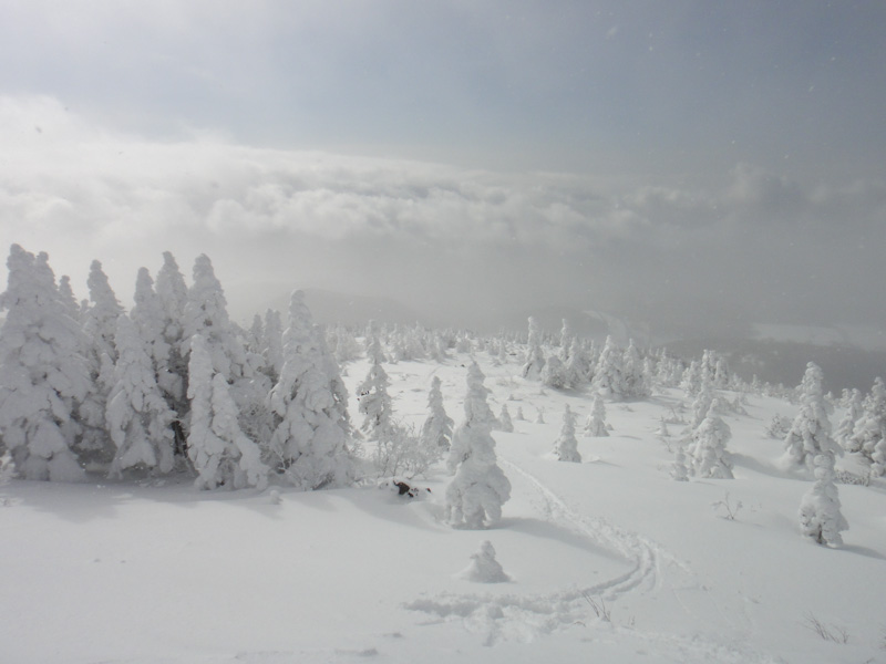 10:46 2174m<br />