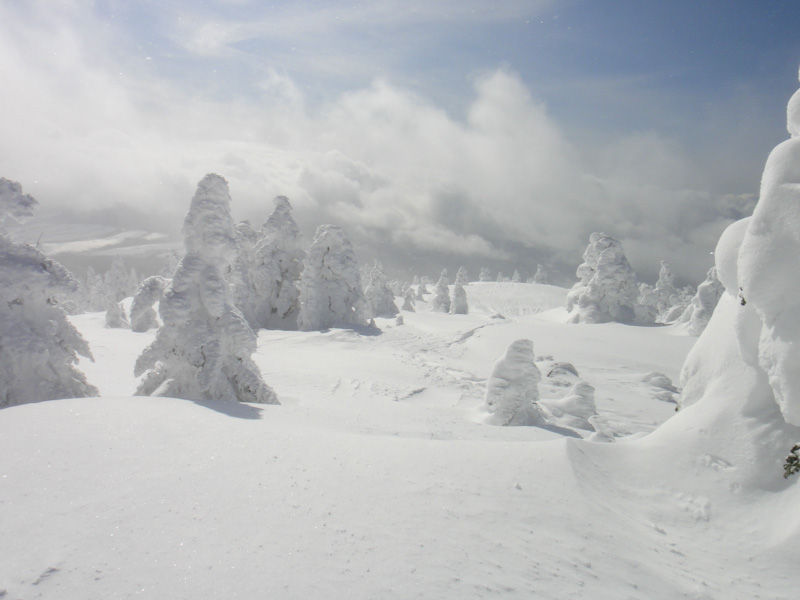 11:47 2273m<br />