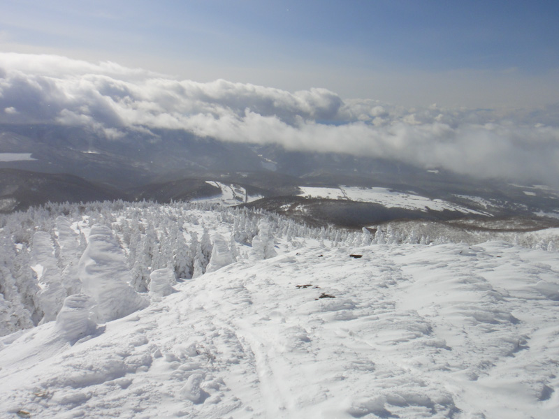 11:53 2184m<br />