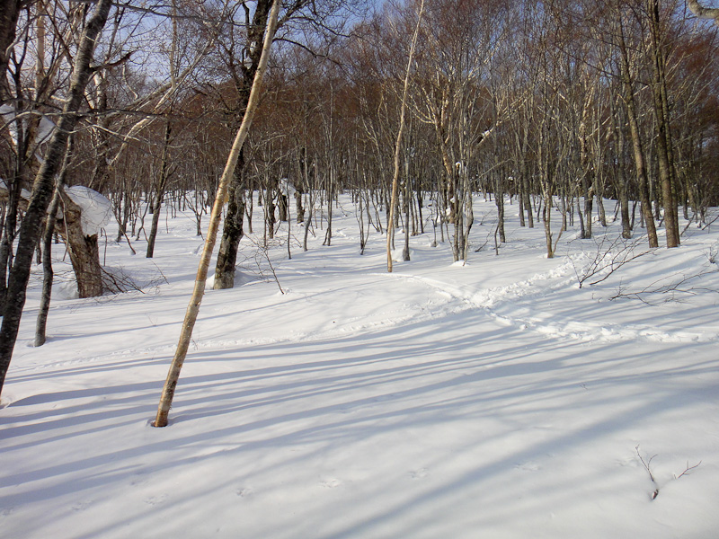 15:12 1595m<br />