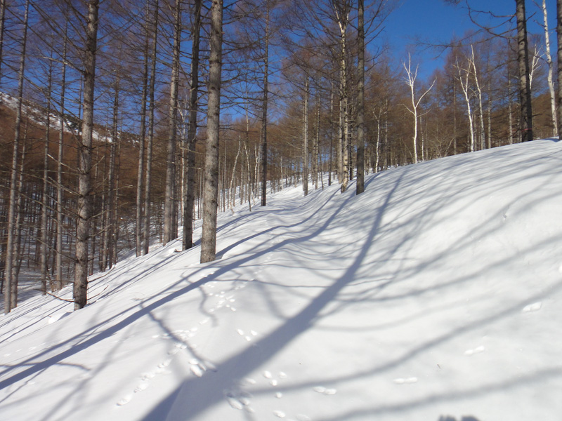 08:22 1645m<br />