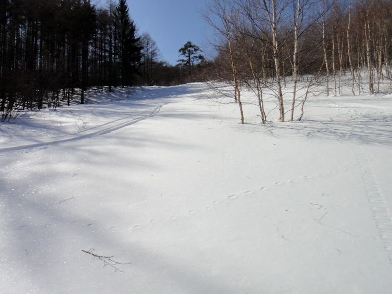 11:04 1550m<br />