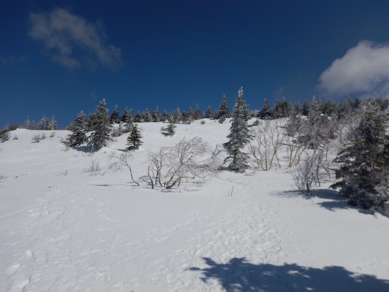 10:03 2060m<br />