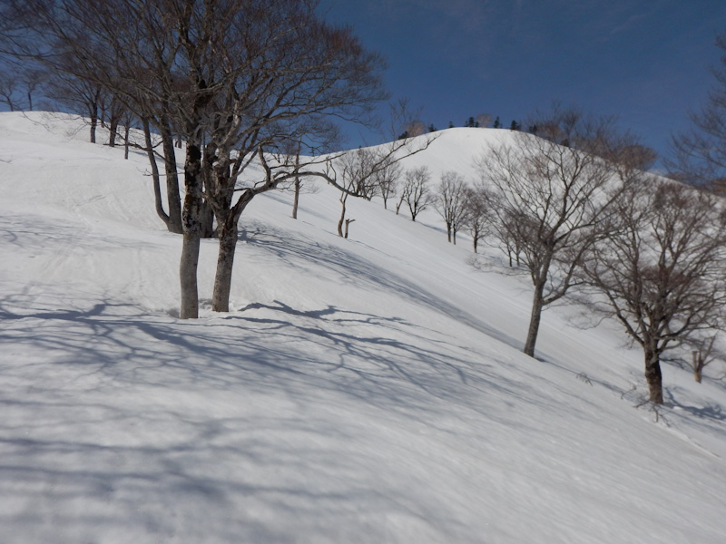 10:48 1555m<br />